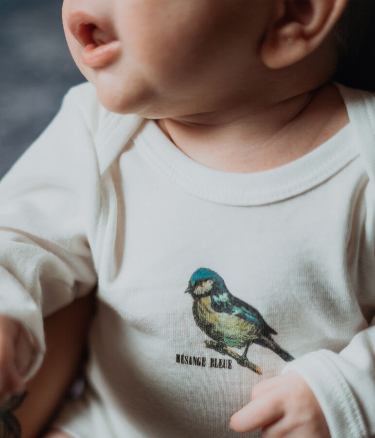 Lot de 3 bodies manches longues b&eacute;b&eacute; gar&ccedil;on Petit Bateau x Deyrolle multicouleur