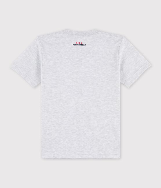 Tee shirt unisexe gris POUSSIERE CHINE