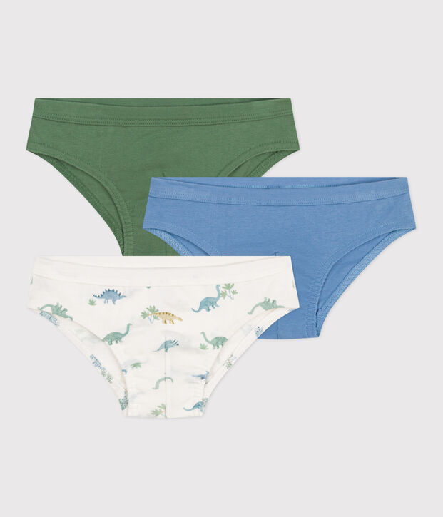 Lot de 3 slips enfant en coton imprim&eacute; dinosaures multicouleur