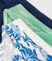 Lot de 3 slips jungle petit garçon en coton variante 1