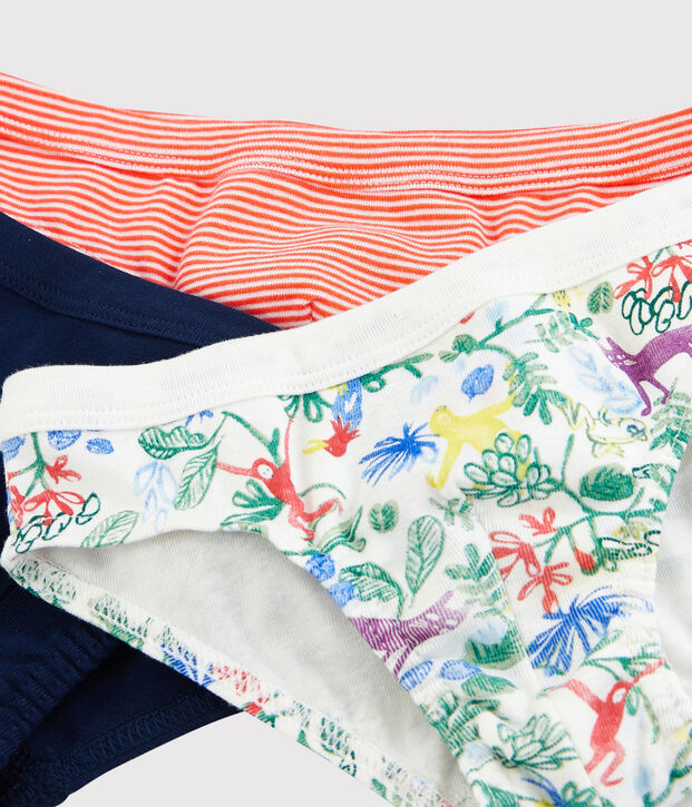 Lot de 3 slips jungle petit gar&ccedil;on multicouleur