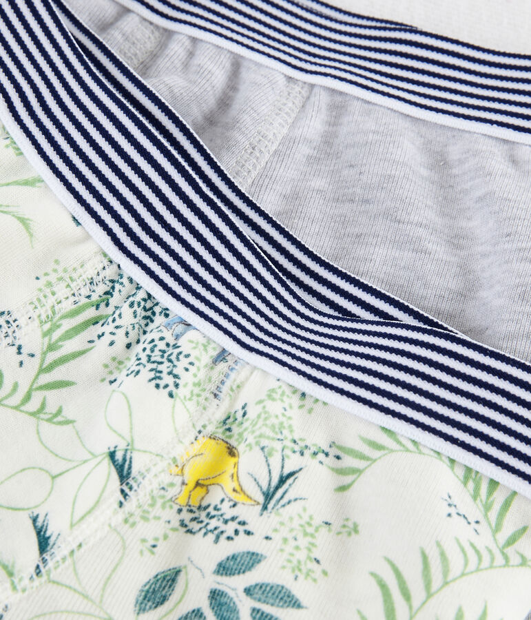 Lot de sous-v&ecirc;tements petit gar&ccedil;on multicouleur