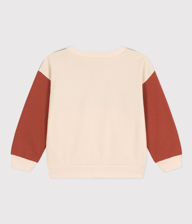 Sweatshirt colorblock en molleton enfant gar&ccedil;on &eacute;cru/multicouleur