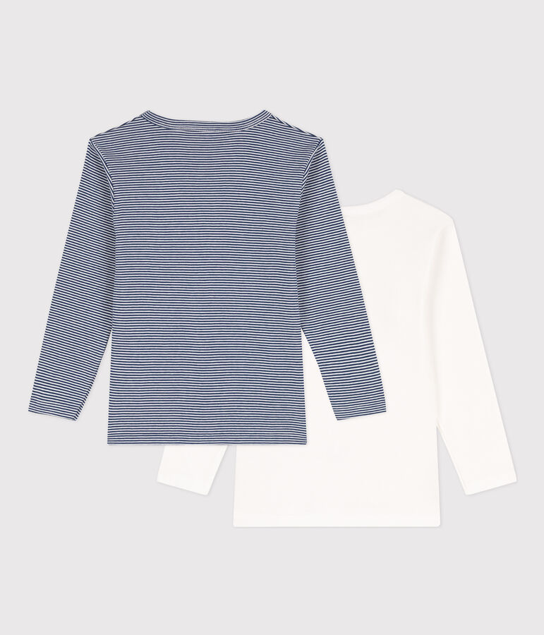 Lot de 2 tee-shirts manches longues milleraies petit gar&ccedil;on en coton multicouleur
