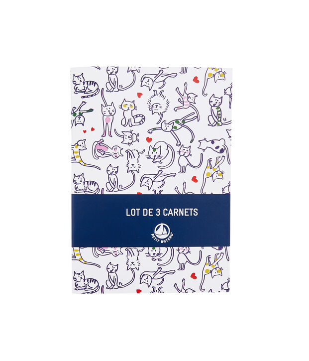 Lot de trois carnets blanc/multicouleur