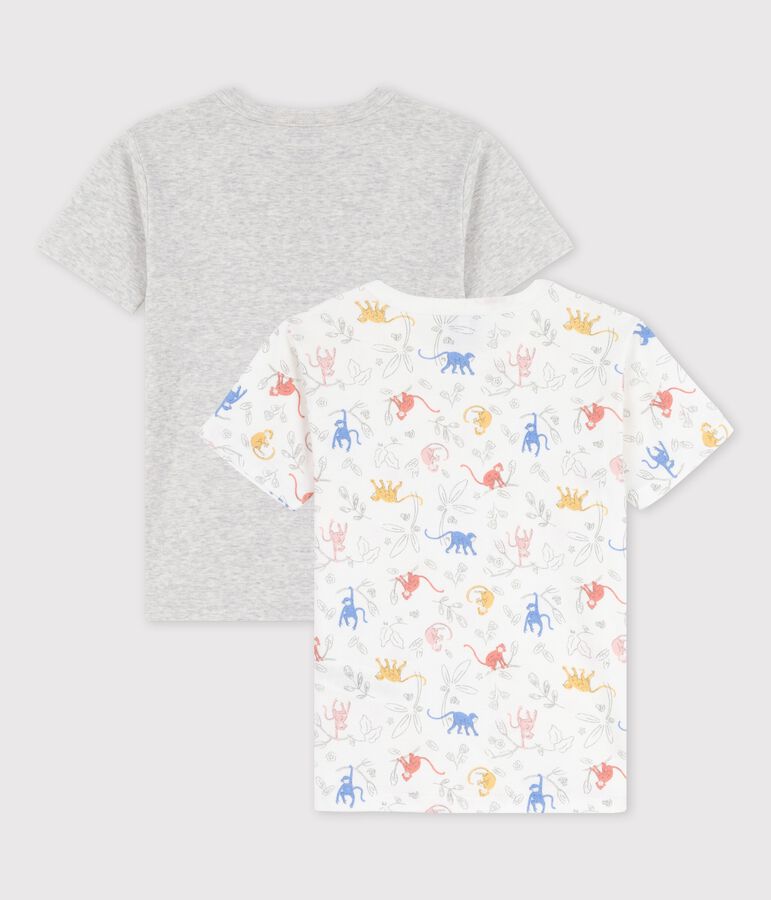 Lot de 2 t-shirts manches courtes petit gar&ccedil;on en coton biologique multicouleur