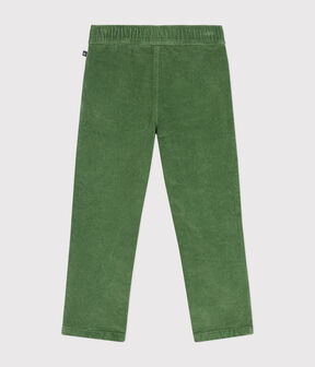 vert PALMERAIE