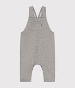 gris CHATON CHINE