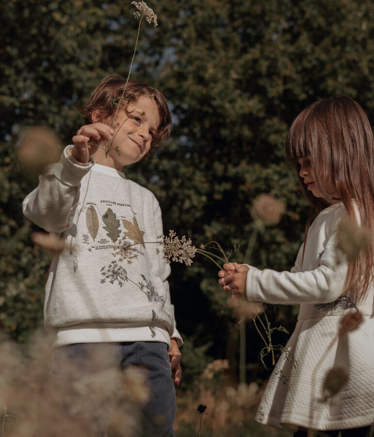 Sweatshirt enfant gar&ccedil;on Petit Bateau x Deyrolle beige