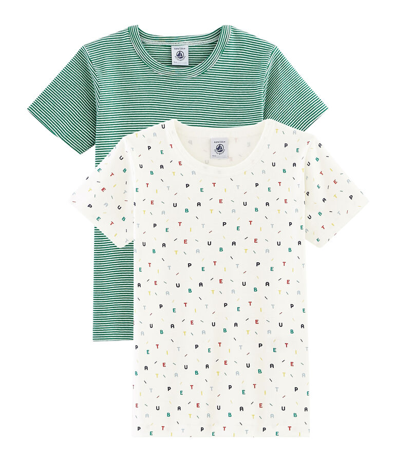 Duo de tee-shirts manches courtes petit gar&ccedil;on multicouleur