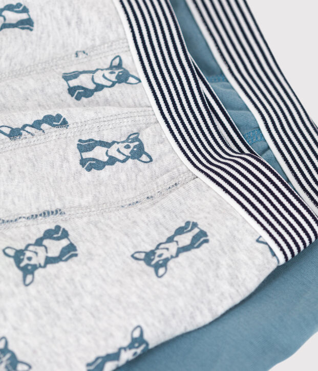 Lot de 2 boxers chien petit gar&ccedil;on en coton multicouleur