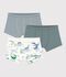 Lot de boxers ceinture collet&eacute;e enfant en coton imprim&eacute; dragons multicouleur