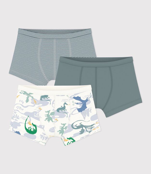 Lot de boxers ceinture collet&eacute;e enfant en coton imprim&eacute; dragons multicouleur