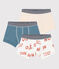 Lot de 3 boxers apetit garçon en coton variante 1