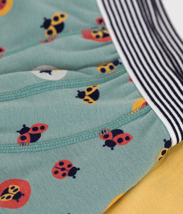 Lot de 2 boxers enfant en coton imprim&eacute; multicouleur