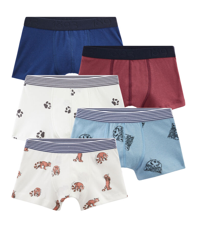 Lot de 5 boxers petit gar&ccedil;on multicouleur