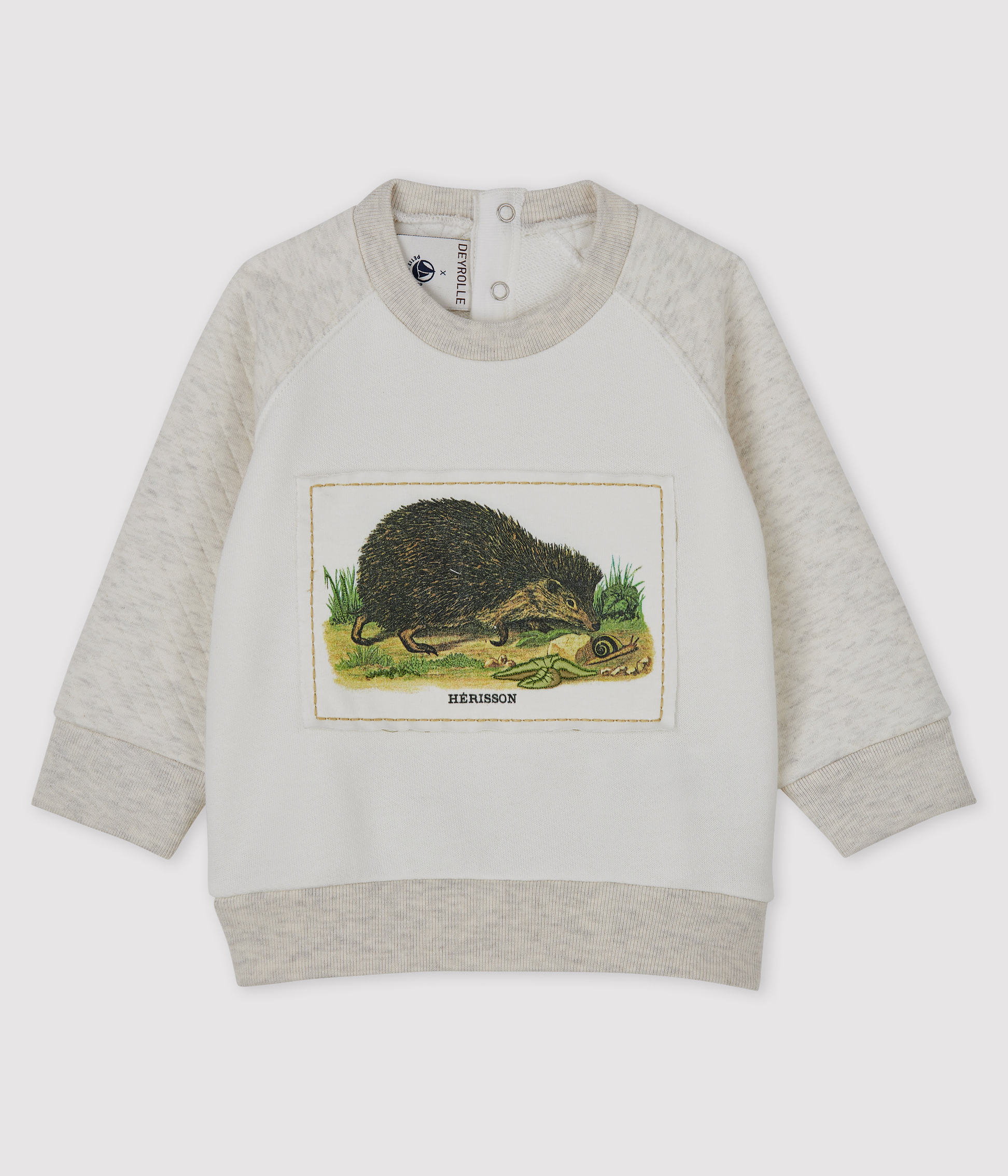 Sweatshirt Petit Bateau Bébé Garçon - 100% Coton Bio | Manches Longues | Facile à Enfiler