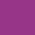 violet HIBISCUS