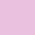 rose ROSE